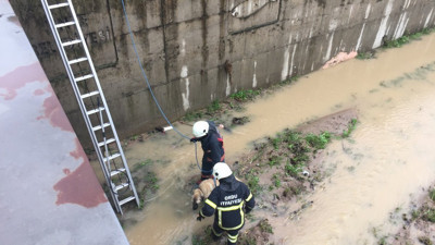 İtfaiye ekipleri dere kenarına düşen köpek için seferber oldu