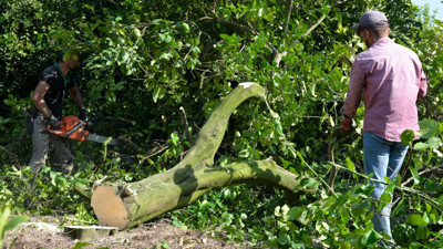Çiftçi meyve ağaçlarını kepçeyle söktü. Tarlada kilosu 50 kuruş markette indirimli 13 TL