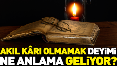 Akıl kârı olmamak deyiminin anlamı nedir?
