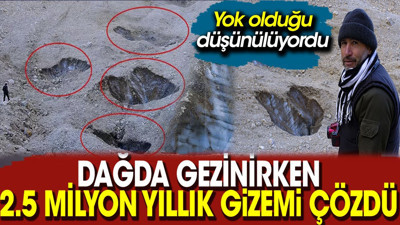 Dağda gezinirken gördü, 2.5 milyon yıllık gizemi çözdü