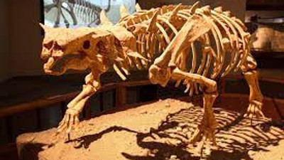 Şimdiye kadar bildiğiniz ‘korkunç sesi’ unutun. Dinozorların sesleriyle ilgili şaşırtıcı bulgular ortaya çıktı