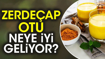 Zerdeçap otu neye iyi geliyor?