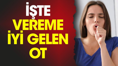 İşte vereme iyi gelen ot