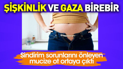 Şişkinlik ve gaza birebir. Sindirim sorunlarını önleyen mucize ot ortaya çıktı