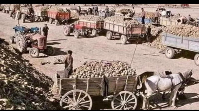 Sosyal medyada 'yerli ve milli' tepkisi: Şeker fabrikalarına at arabalarıyla şeker pancarı taşırken bile daha zengindi bu ülke