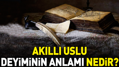 Akıllı uslu deyiminin anlamı nedir?