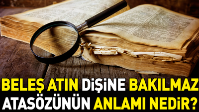 Beleş atın dişine bakılmaz atasözünün anlamı nedir?