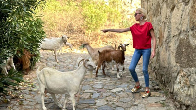 Sosyetik güzel keçilere ders verdi. İlginç videoyu kendisi paylaştı