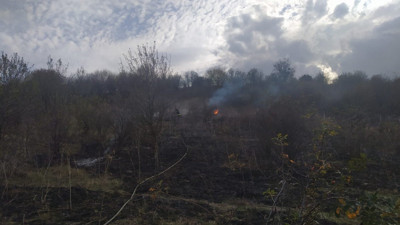 Anız yangını ormana sıçramadan söndürüldü (30 Ekim 2023)