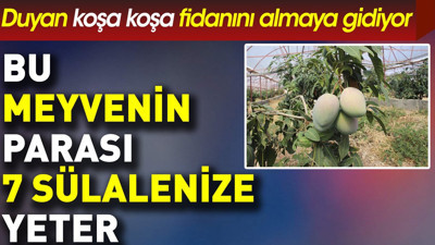 Bu meyvenin parası 7 sülalenize yeter. Duyan koşa koşa almaya gidiyor
