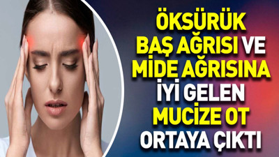 Öksürük baş ağrısı ve mide ağrısına iyi gelen mucize ot ortaya çıktı