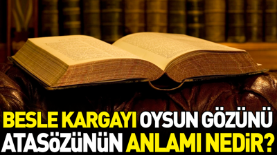 Besle kargayı oysun gözünü atasözünün anlamı nedir?