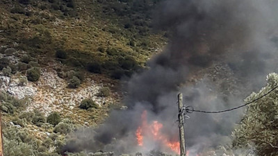 Muğla'daki orman yangını söndürüldü (31 Ekim 2023)