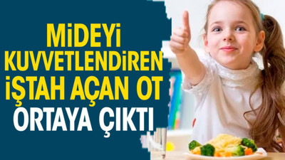 Mideyi kuvvetlendiren iştah açan ot ortaya çıktı