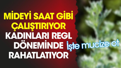 Mideyi saat gibi çalıştırıyor. Kadınları regl döneminde rahatlatıyor. İşte mucize ot