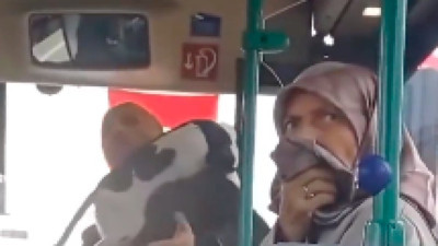 Köpeğiyle otobüse binmek istedi ama izin vermediler