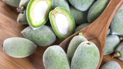 Ekşi meyve kan şekerini düşürür mü?