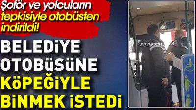 Belediye otobüsüne köpeğiyle binmek istedi, otobüsten indirildi