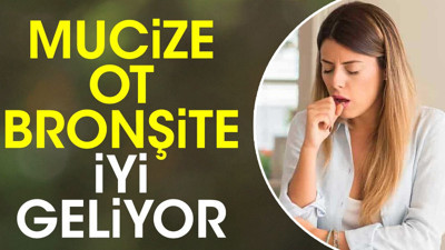 Mucize ot bronşite iyi geliyor (03 Kasım 2023)