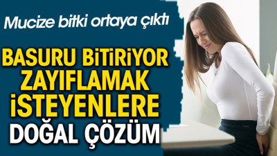 Basuru bitiriyor. Zayıflamak isteyenlere doğal çözüm. Mucize bitki ortaya çıktı