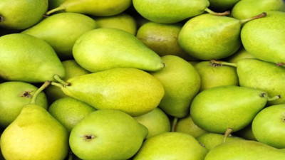 Armut yemenin yararları neler
