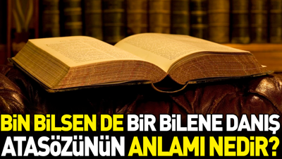 Bin bilsen de bir bilene danış atasözünün anlamı nedir?