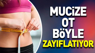 Mucize ot böyle zayıflatıyor (04 Kasım 2023)