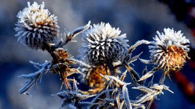 Kars'ı buz kesti! Eksi 3 dereceye düştü…