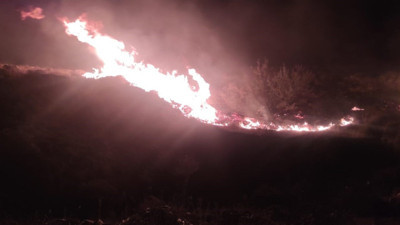 İzmir'de makilik alanda yangın (04 Kasım 2023)