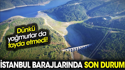 Dünkü yağış da fayda etmedi, İstanbul'un barajlarında son durum