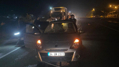 Adıyaman’da otomobil eşeğe çarptı: 3 yaralı