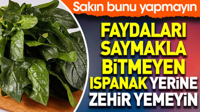 Faydaları saymakla bitmeyen ıspanak yerine zehir yemeyin. Sakın bunu yapmayın