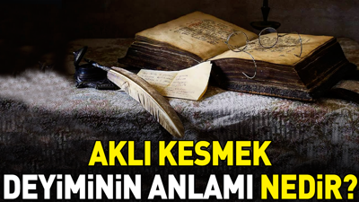 Aklı kesmek deyiminin anlamı nedir?