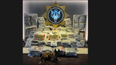 Kamyon kasasına gizlenin uyuşturucuyu narkotik köpeği buldu! Tam 372 kilo…