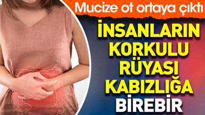 İnsanların korkulu rüyası kabızlığa birebir. Mucize ot ortaya çıktı