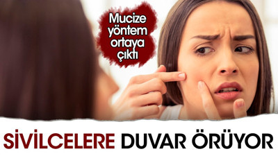 Sivilcelere duvar örüyor. Mucize yöntem ortaya çıktı