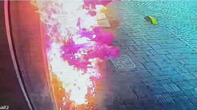 Çiçek koparmak isterken 100 bin liralık zarar verdi