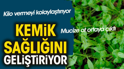 Kemik sağlığını geliştiriyor. Kilo vermeyi kolaylaştırıyor. Mucize ot ortaya çıktı