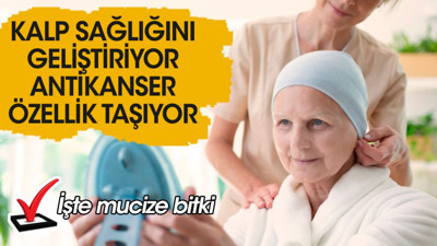 Kalp sağlığını geliştiriyor. Antikanser özellik taşıyor. İşte mucize bitki