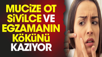 Mucize ot sivilce ve egzamanın kökünü kazıyor