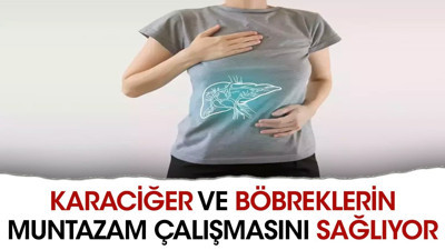 Karaciğer ve böbreklerin muntazam çalışmasını sağlıyor. İşte o ot