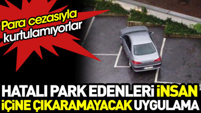 Hatalı park edenleri insan içine çıkaramayacak uygulama. Para cezasıyla kurtulamıyorlar