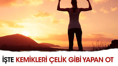 İşte kemikleri çelik gibi yapan ot