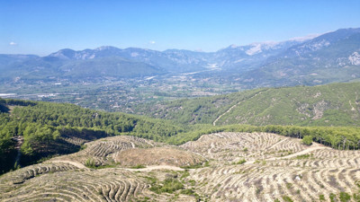 Cumhuriyet’in 100. yılında 22 bin fidan EPAL Türkiye Ormanları ile yaşam buldu