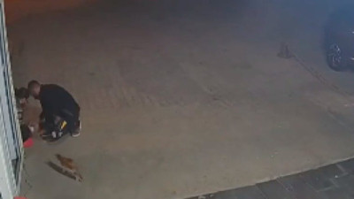 Diyarbakır'da yaralı bir sokak kedisi kendi başına hastanenin acil servisine gitti