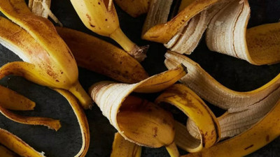 Muzun akıllara zarar yararları var