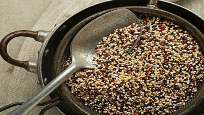 Hangi besinde etten daha fazla protein var