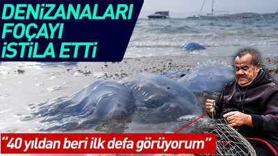 Denizanaları Foçayı istila etti: 40 yıllık balıkçıyım böylesini görmedim
