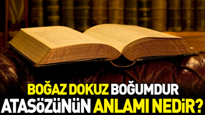 Boğaz dokuz boğumdur atasözünün anlamı nedir?