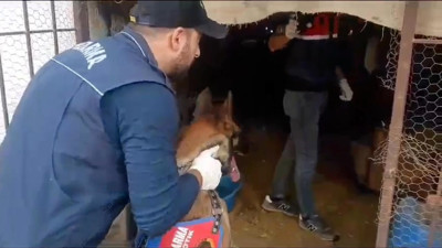 Jandarman 20 kilo uyuşturucuyla yakaladı